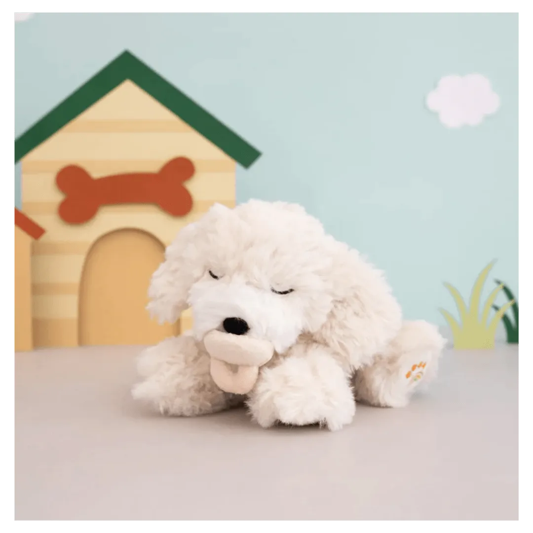 Binky Puppy - Banjo