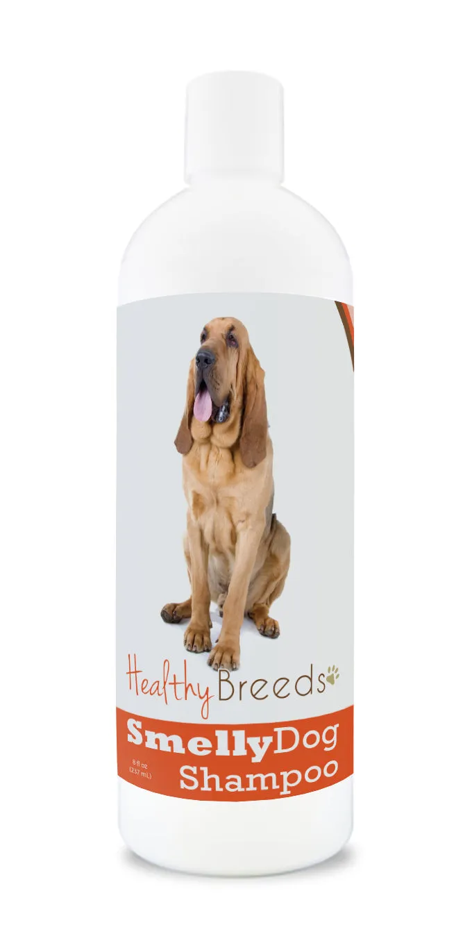 Bloodhound Smelly Dog Baking Soda Shampoo 8 oz