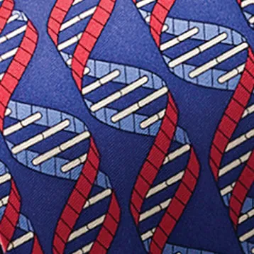 DNA Strand / Molecule Bow Tie