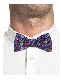 DNA Strand / Molecule Bow Tie